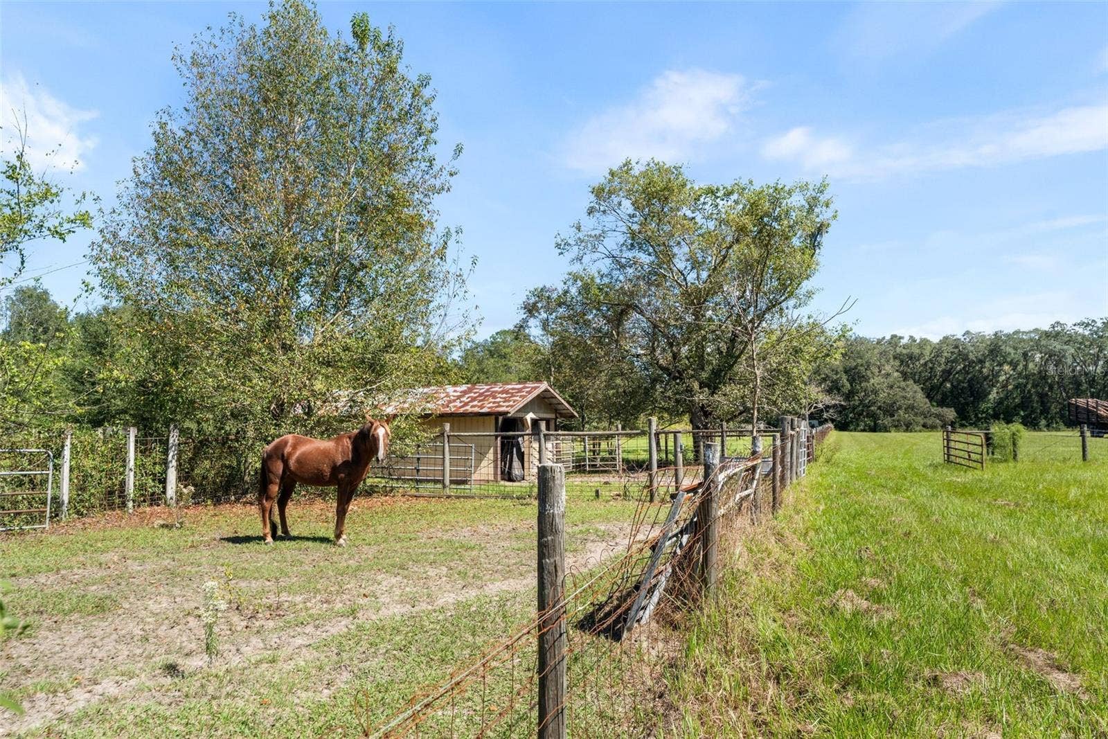5804 NW 158TH STREET, Alachua, FL 32615