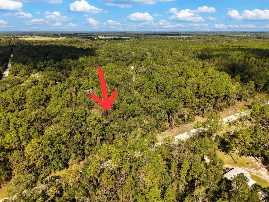 Property photo for 6339 NW 17TH COURT, Bell, FL