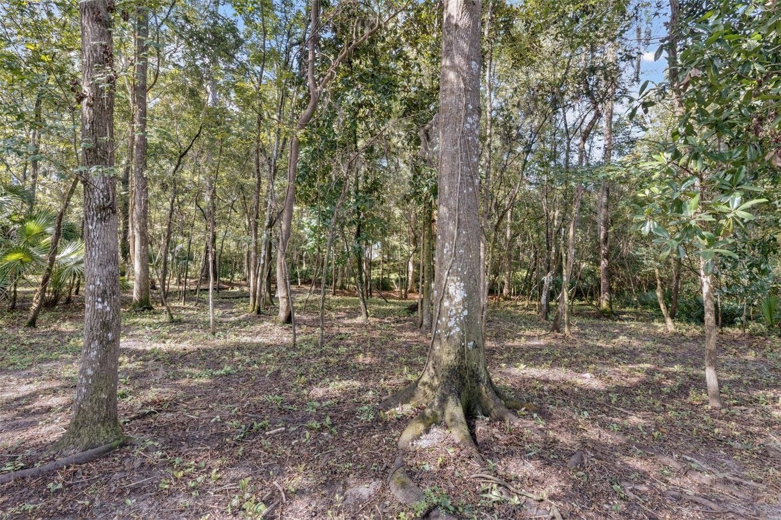 1326 NW 57TH STREET, Gainesville, FL 32605 1326 NW 57TH STREET, Gainesville, FL 32605