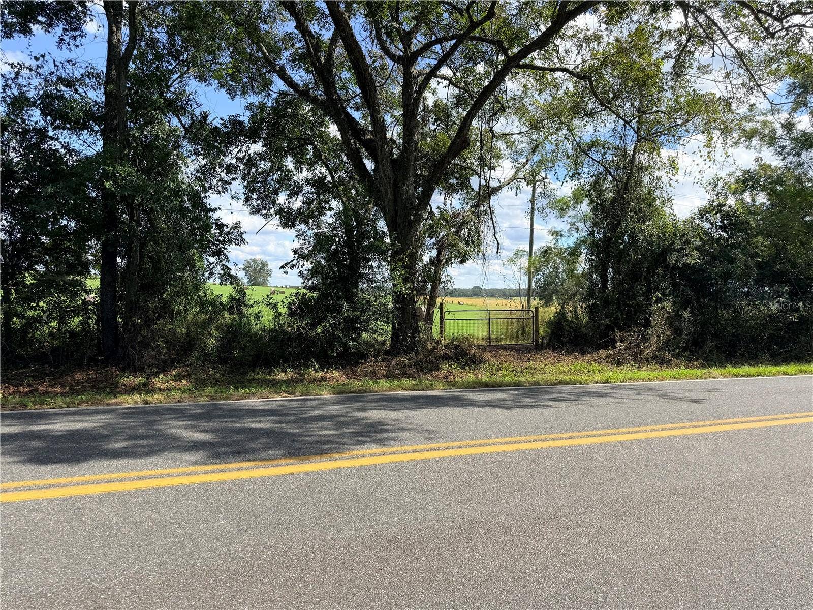 Tustenuggee Ave w/ gate access to property
