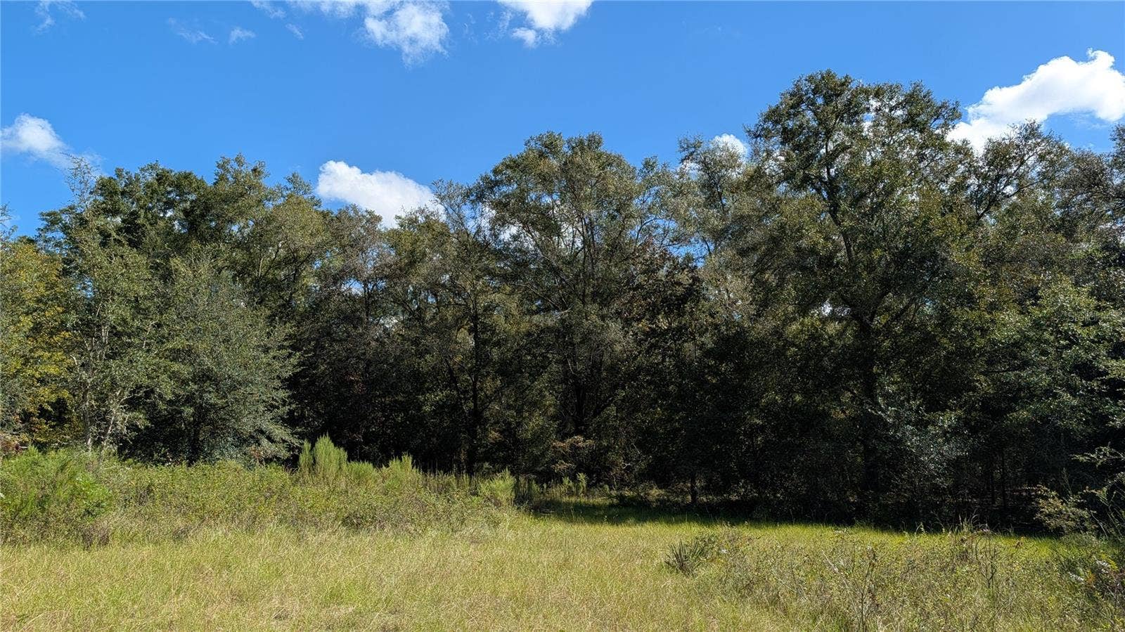 Lot 3 NE 48TH COURT, High Springs, FL 32643