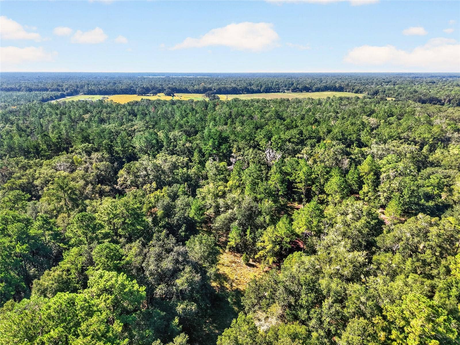 7700 SW 77TH STREET, Gainesville, FL 32608 7700 SW 77TH STREET, Gainesville, FL 32608