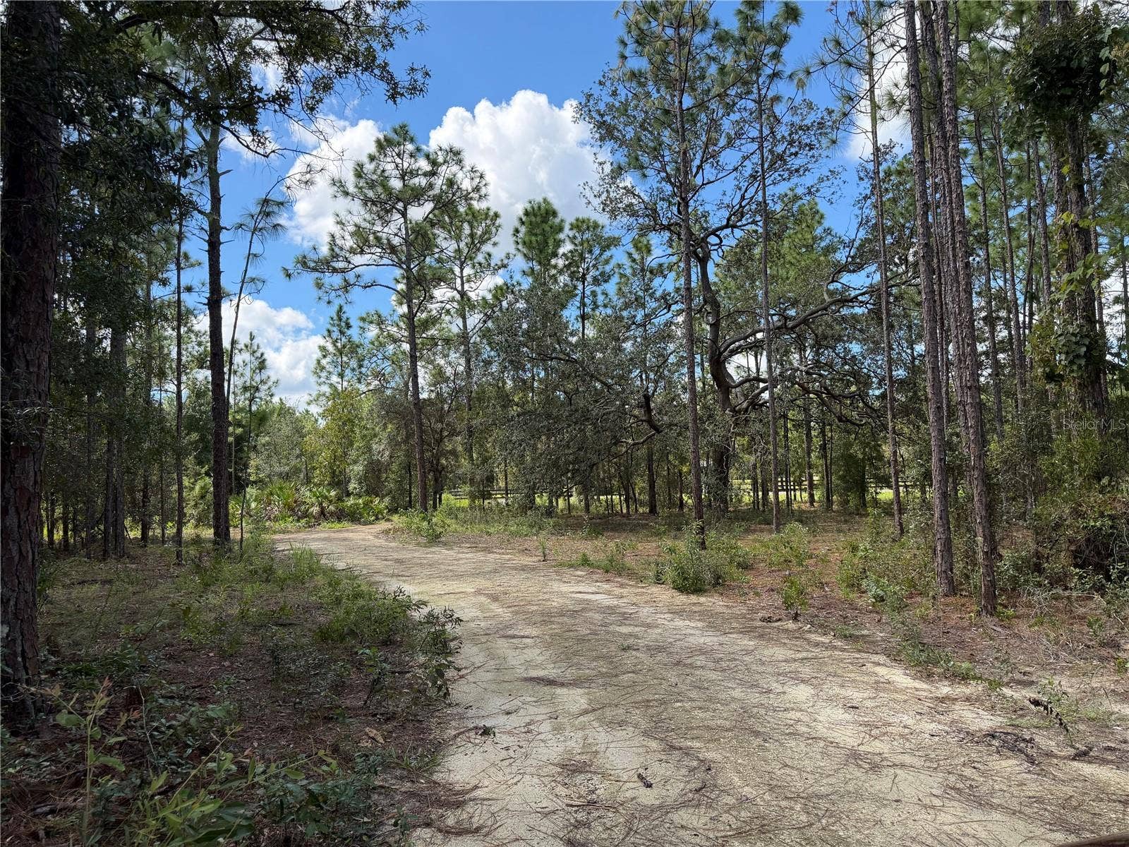 164 MELROSE LANDING BOULEVARD, Hawthorne, FL 32640