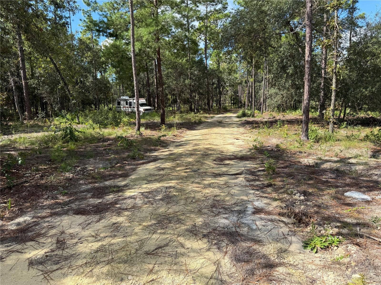 164 MELROSE LANDING BOULEVARD, Hawthorne, FL 32640