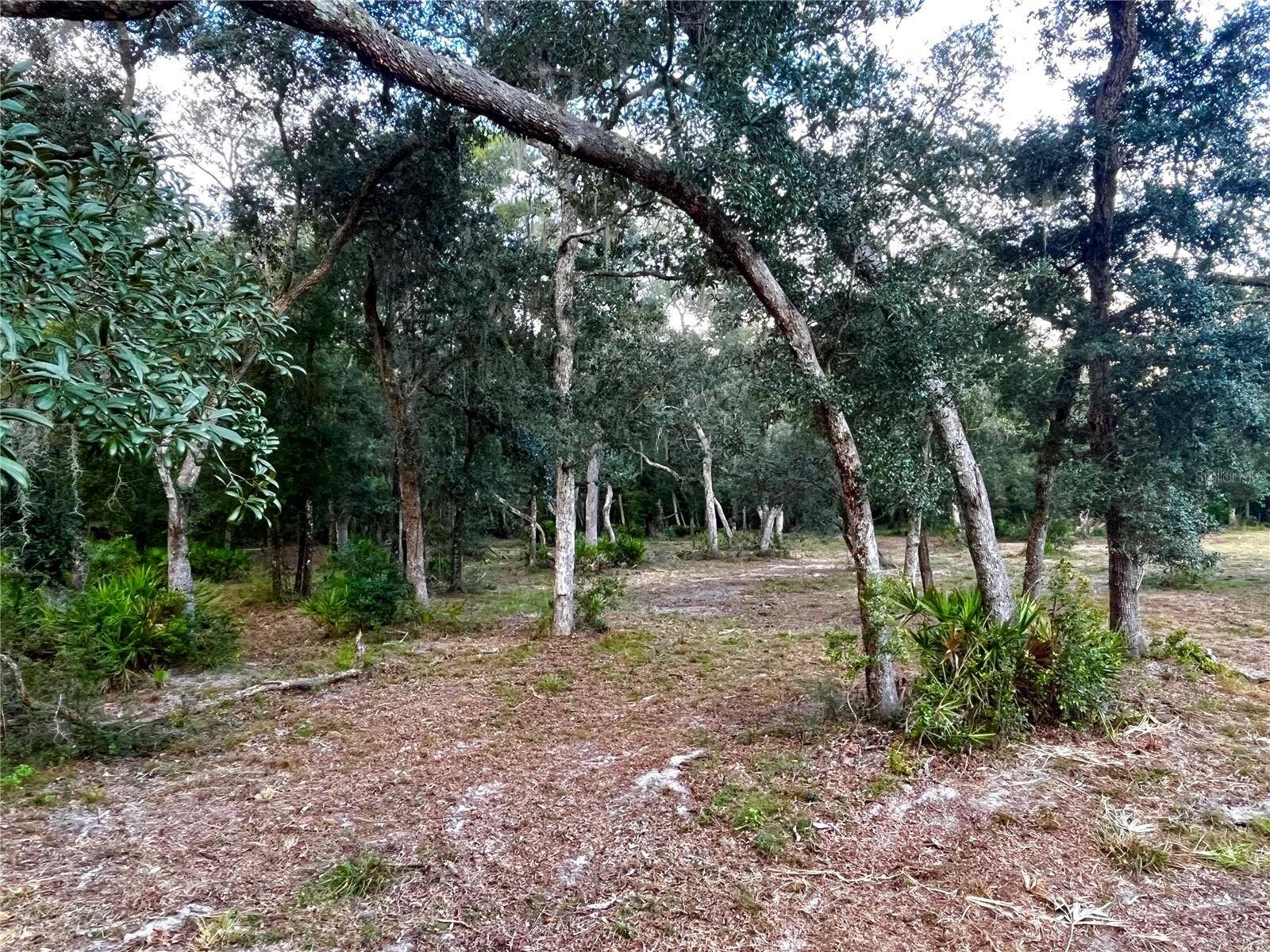 CANAL STREET, Fanning Springs, FL 32693
