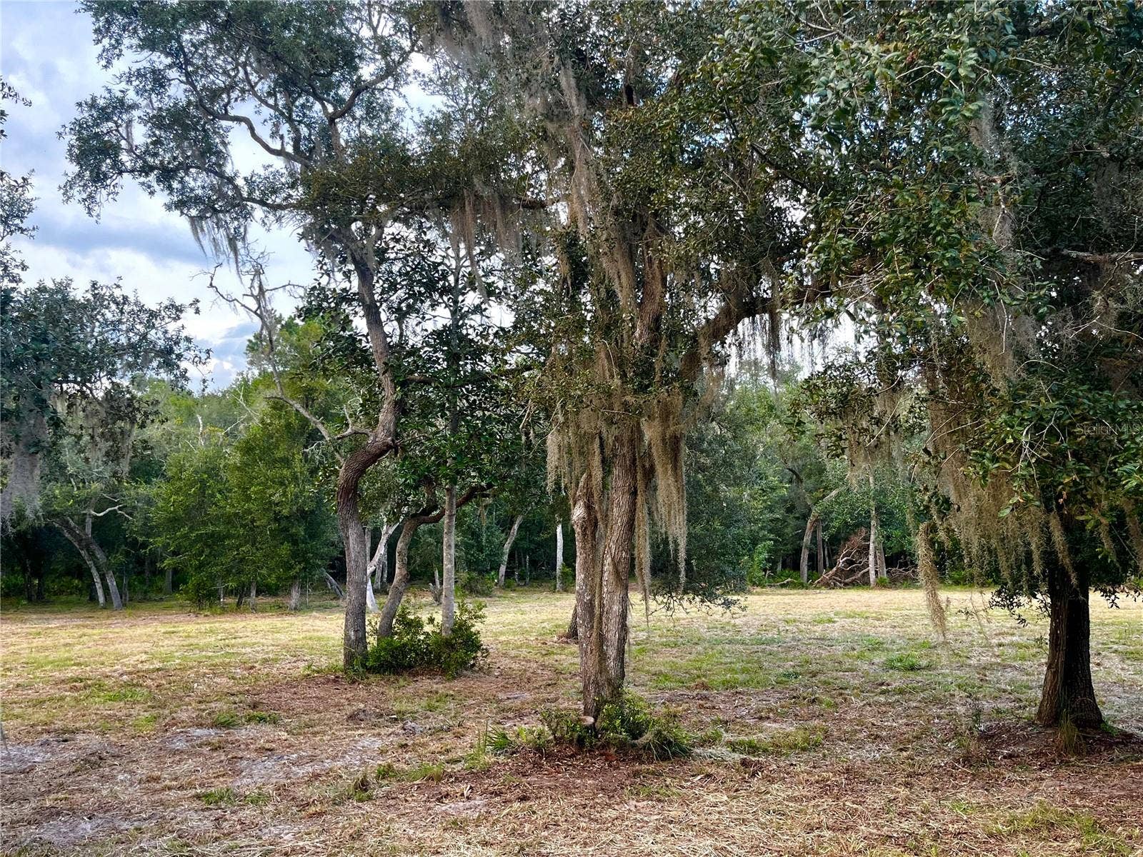 CANAL STREET, Fanning Springs, FL 32693