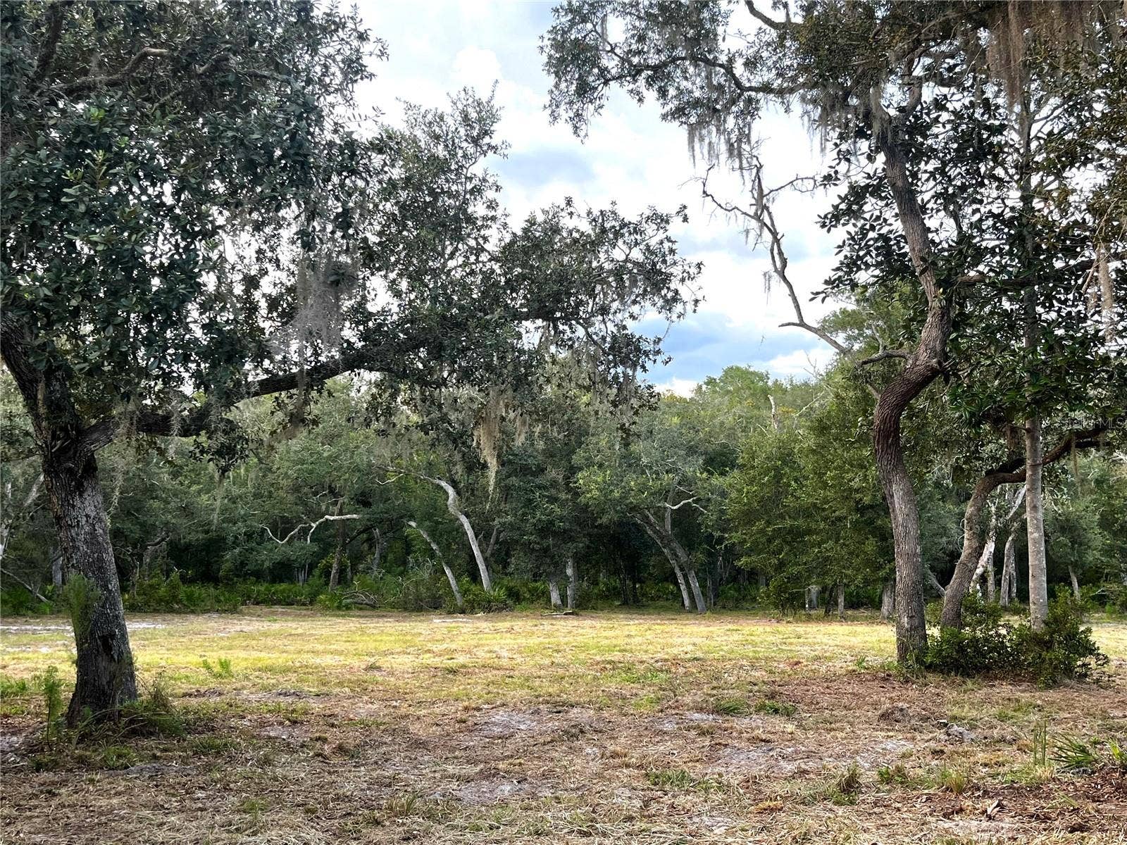 CANAL STREET, Fanning Springs, FL 32693