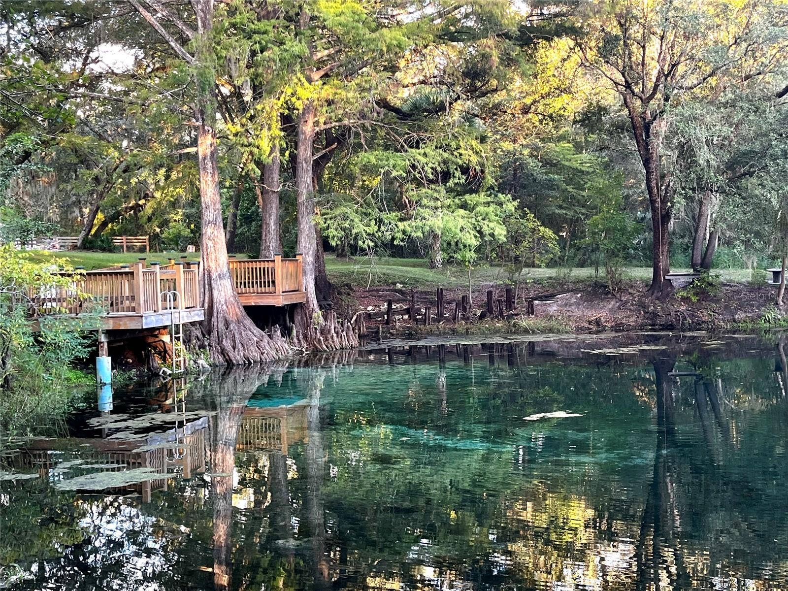 CANAL STREET, Fanning Springs, FL 32693