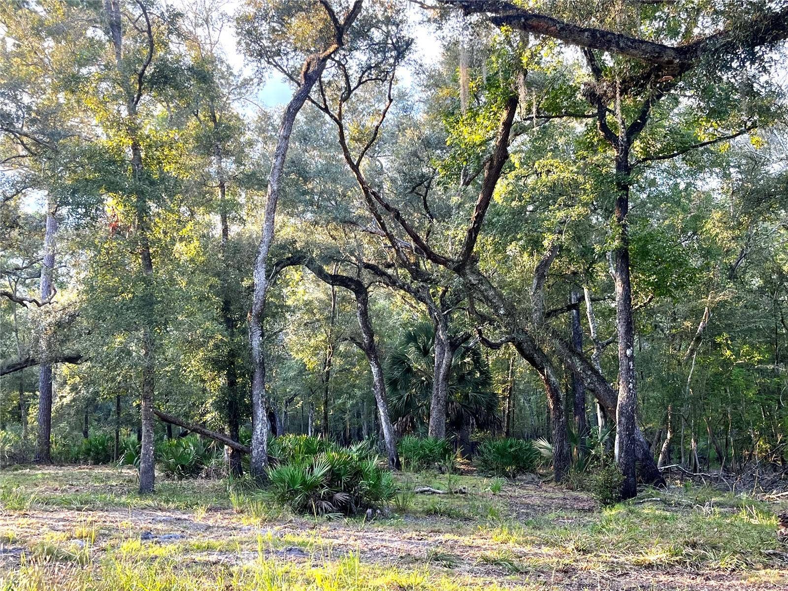 CANAL STREET, Fanning Springs, FL 32693