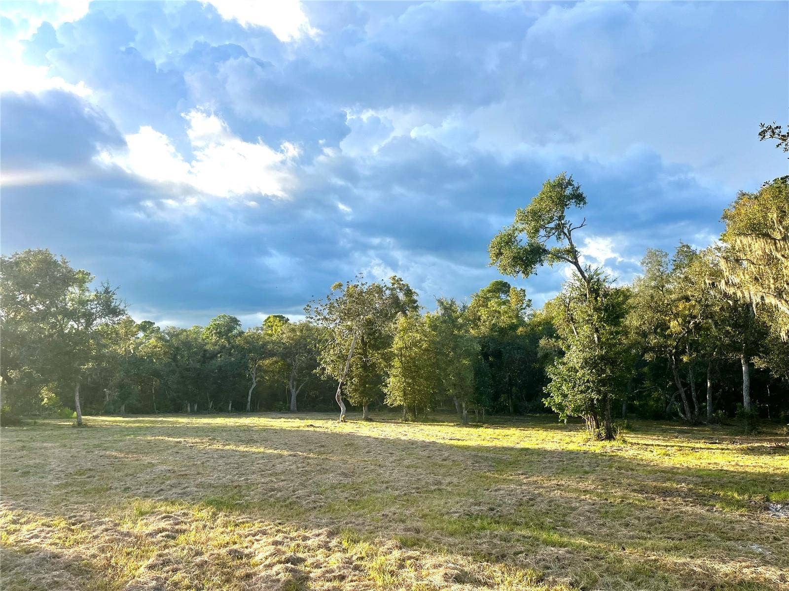 CANAL STREET, Fanning Springs, FL 32693