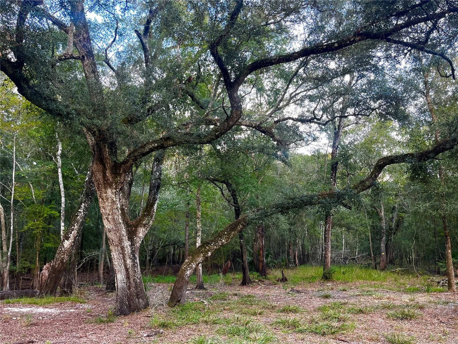 CANAL STREET, Fanning Springs, FL 32693