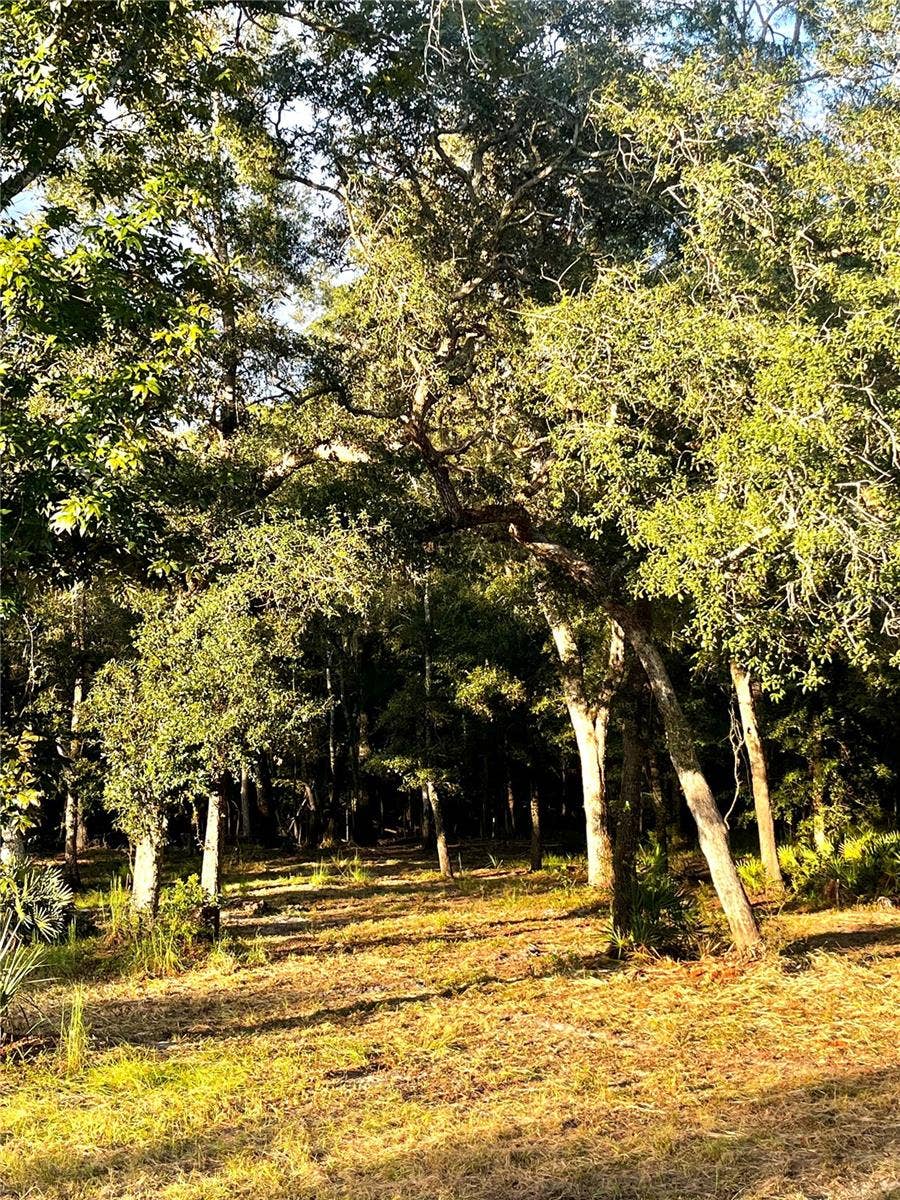 CANAL STREET, Fanning Springs, FL 32693