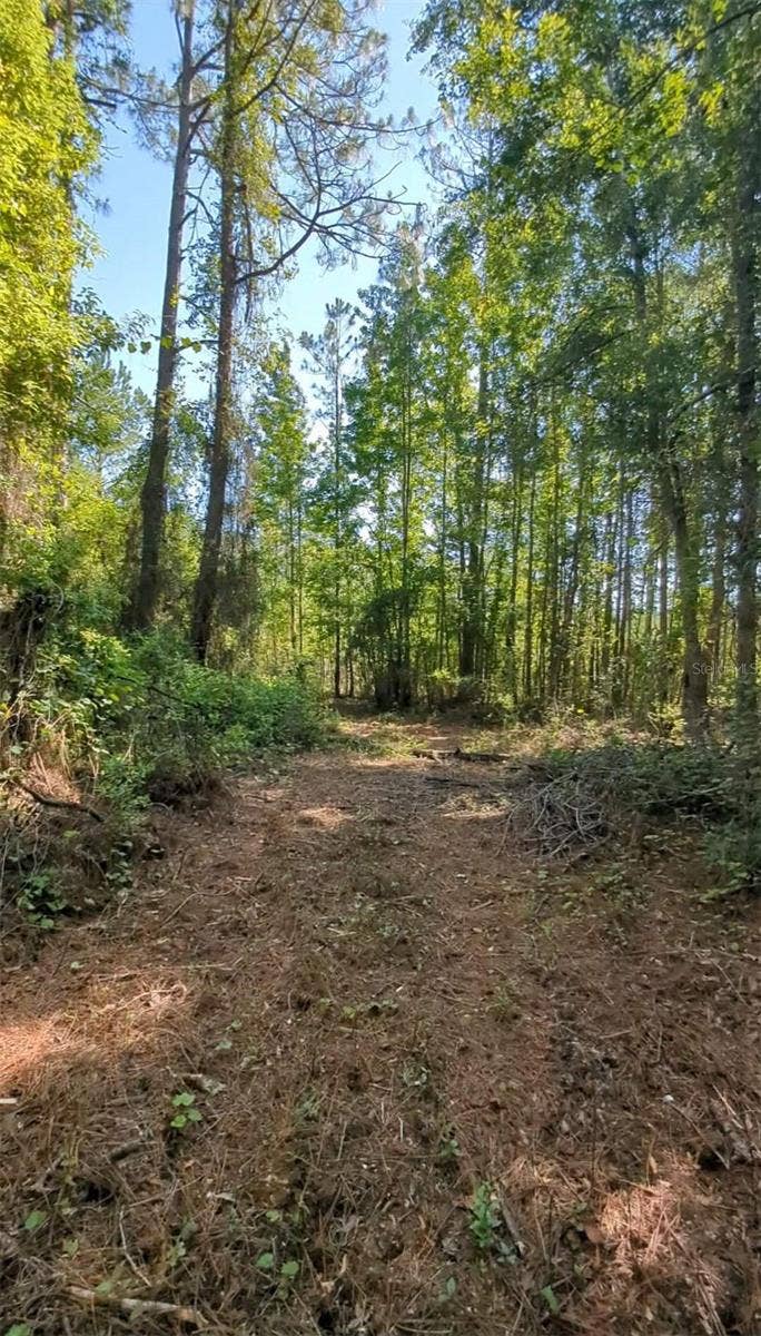 TBD SW 126TH AVENUE, Lake Butler, FL 32054 TBD SW 126TH AVENUE, Lake Butler, FL 32054