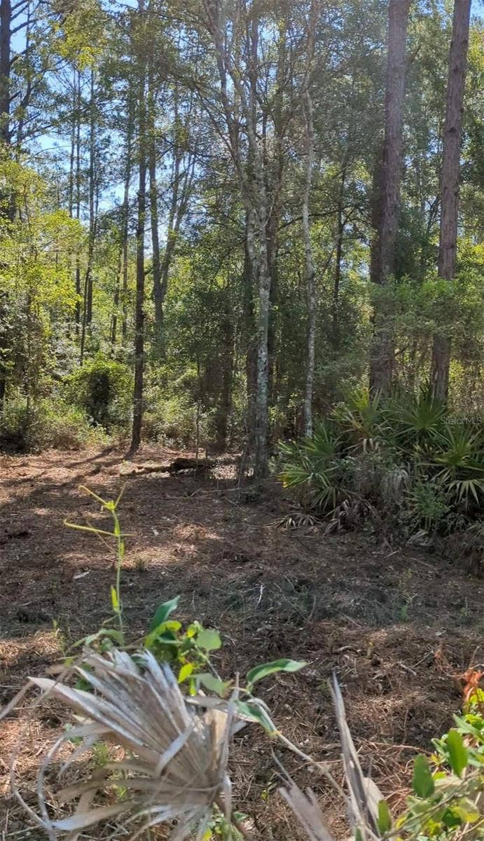 TBD SW 126TH AVENUE, Lake Butler, FL 32054 TBD SW 126TH AVENUE, Lake Butler, FL 32054