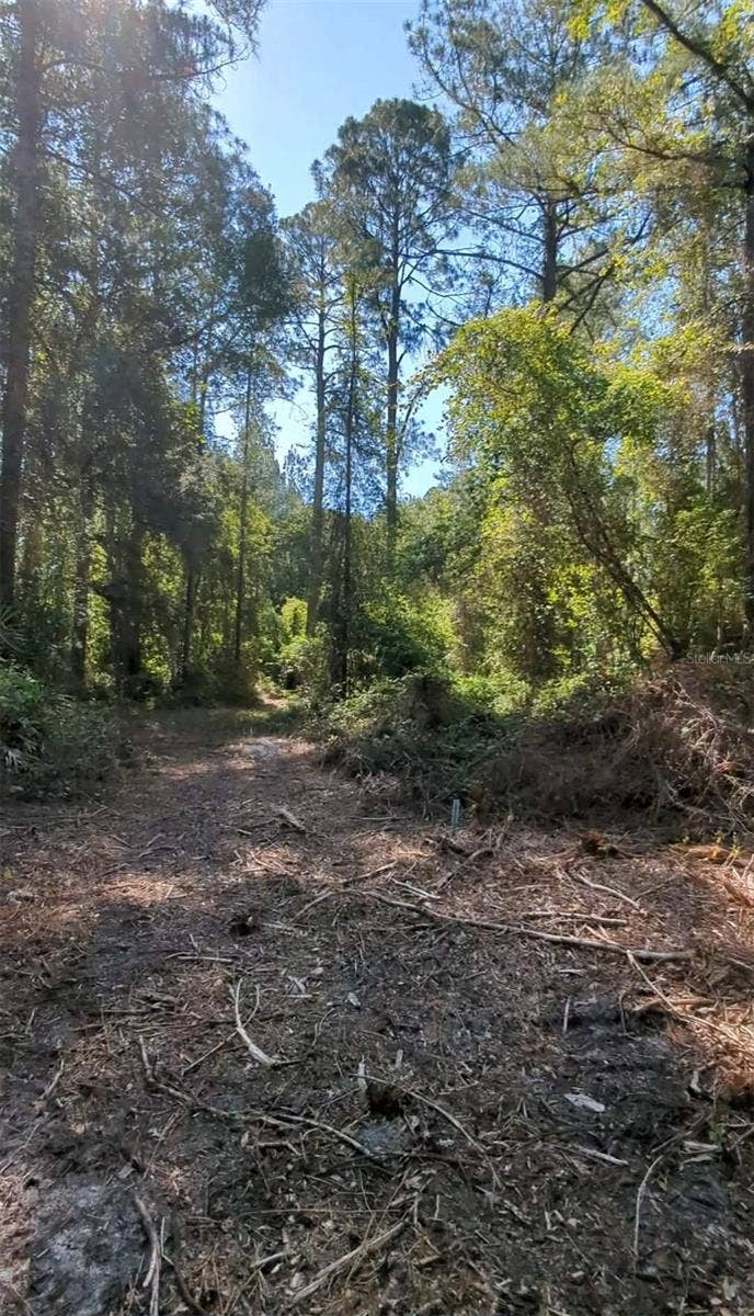 SW 126TH AVENUE, Lake Butler, FL 32054