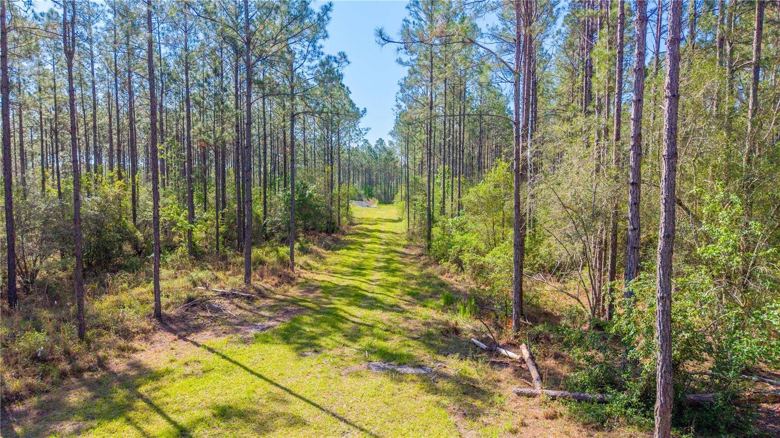 NW 57TH LANE, Starke, FL 32091 NW 57TH LANE, Starke, FL 32091