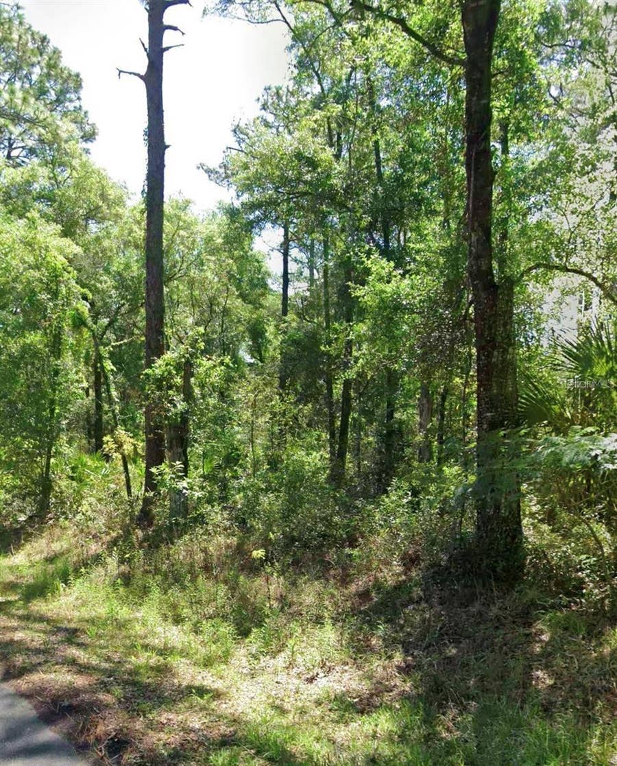 Property photo for 3718 E WALKER STREET, Inverness, FL