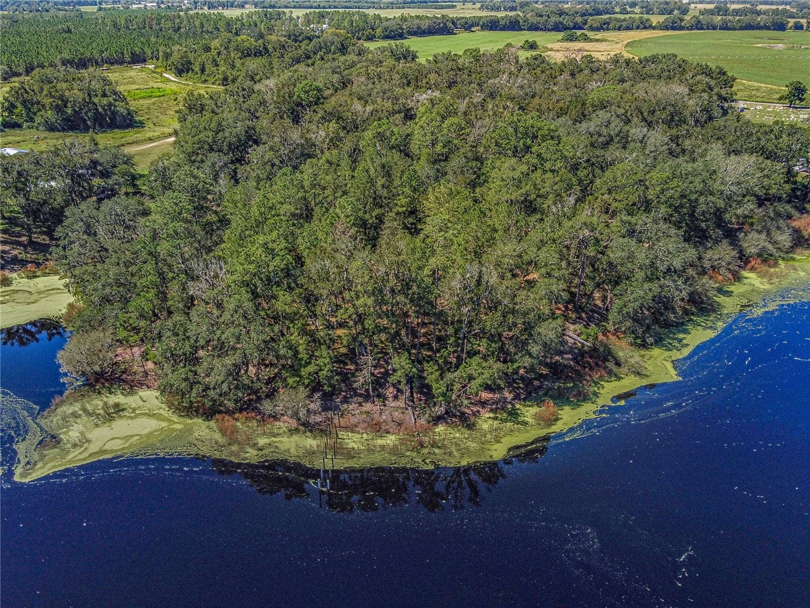 4710 SW 22ND AVENUE, Bell, FL 32619 4710 SW 22ND AVENUE, Bell, FL 32619