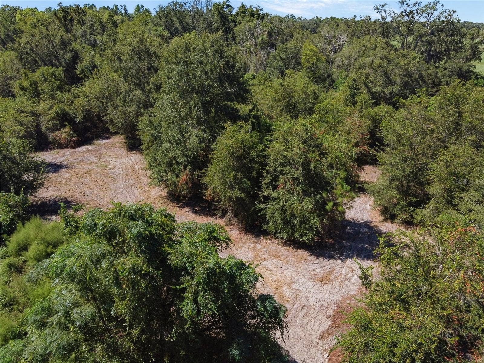 4710 SW 22ND AVENUE, Bell, FL 32619 4710 SW 22ND AVENUE, Bell, FL 32619