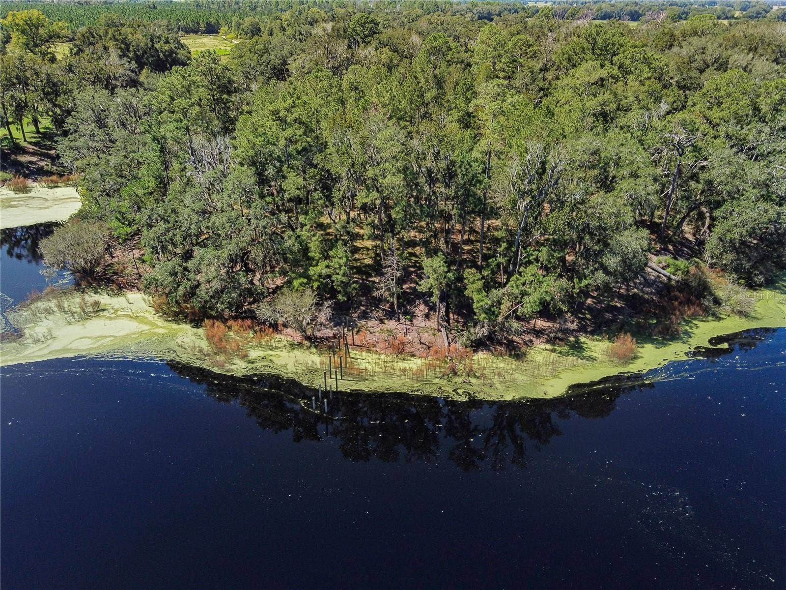 4710 SW 22ND AVENUE, Bell, FL 32619 4710 SW 22ND AVENUE, Bell, FL 32619
