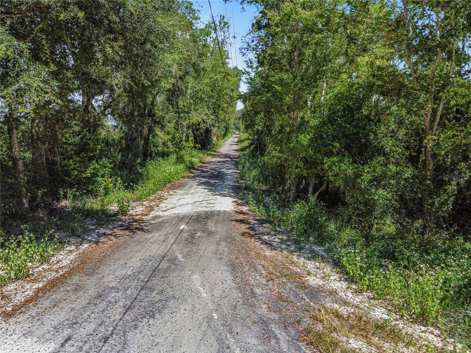 4710 SW 22ND AVENUE, Bell, FL 32619 4710 SW 22ND AVENUE, Bell, FL 32619