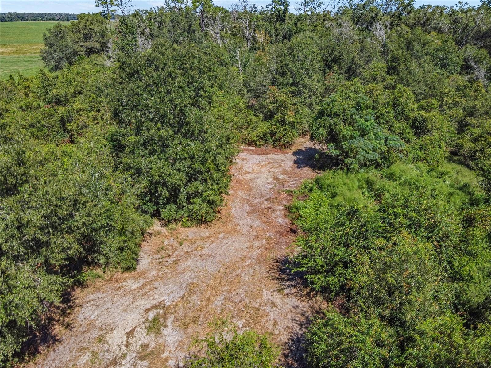 4710 SW 22ND AVENUE, Bell, FL 32619 4710 SW 22ND AVENUE, Bell, FL 32619