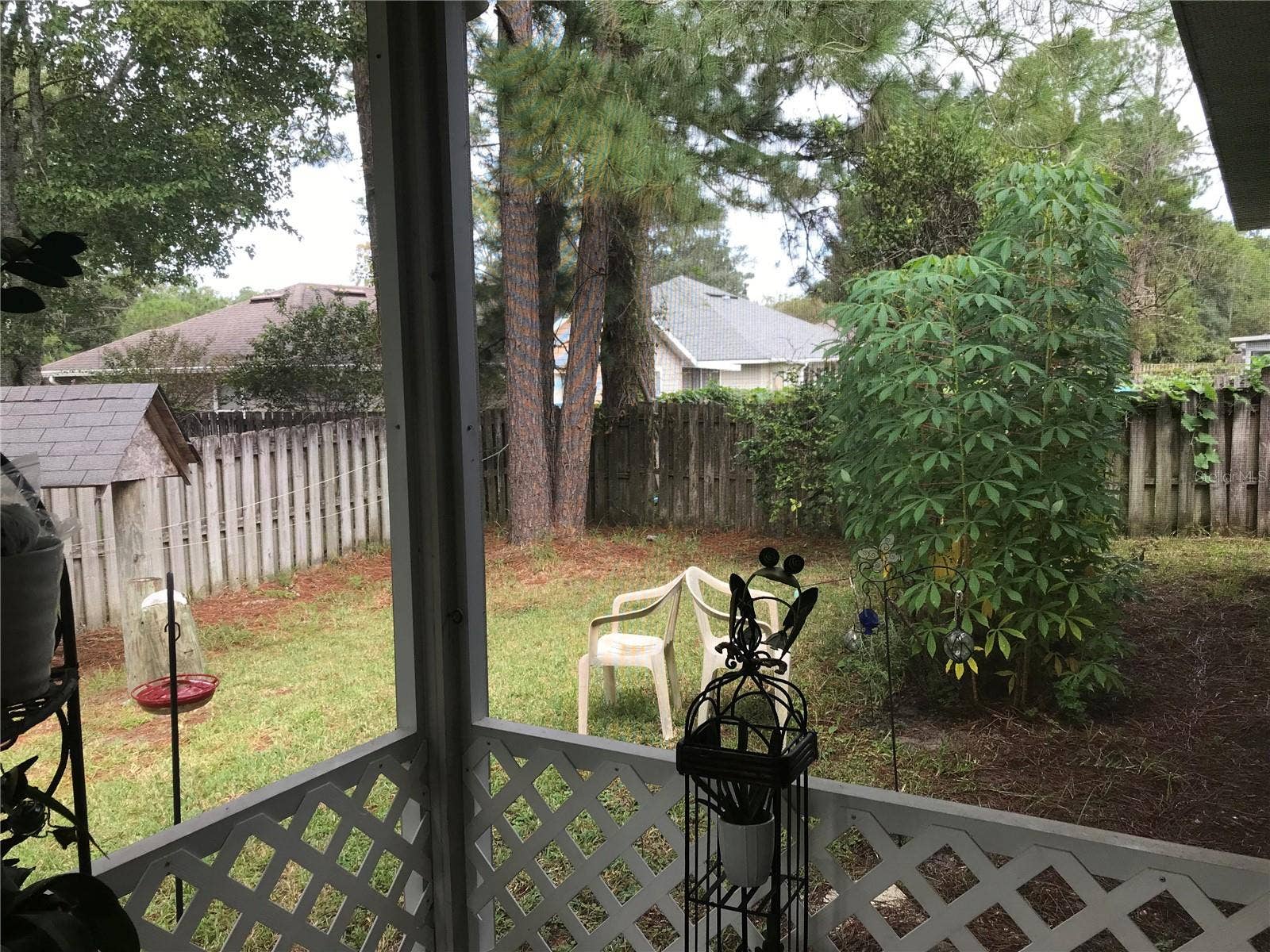 4328 NW 36TH TERRACE, Gainesville, FL 32605 Backyard