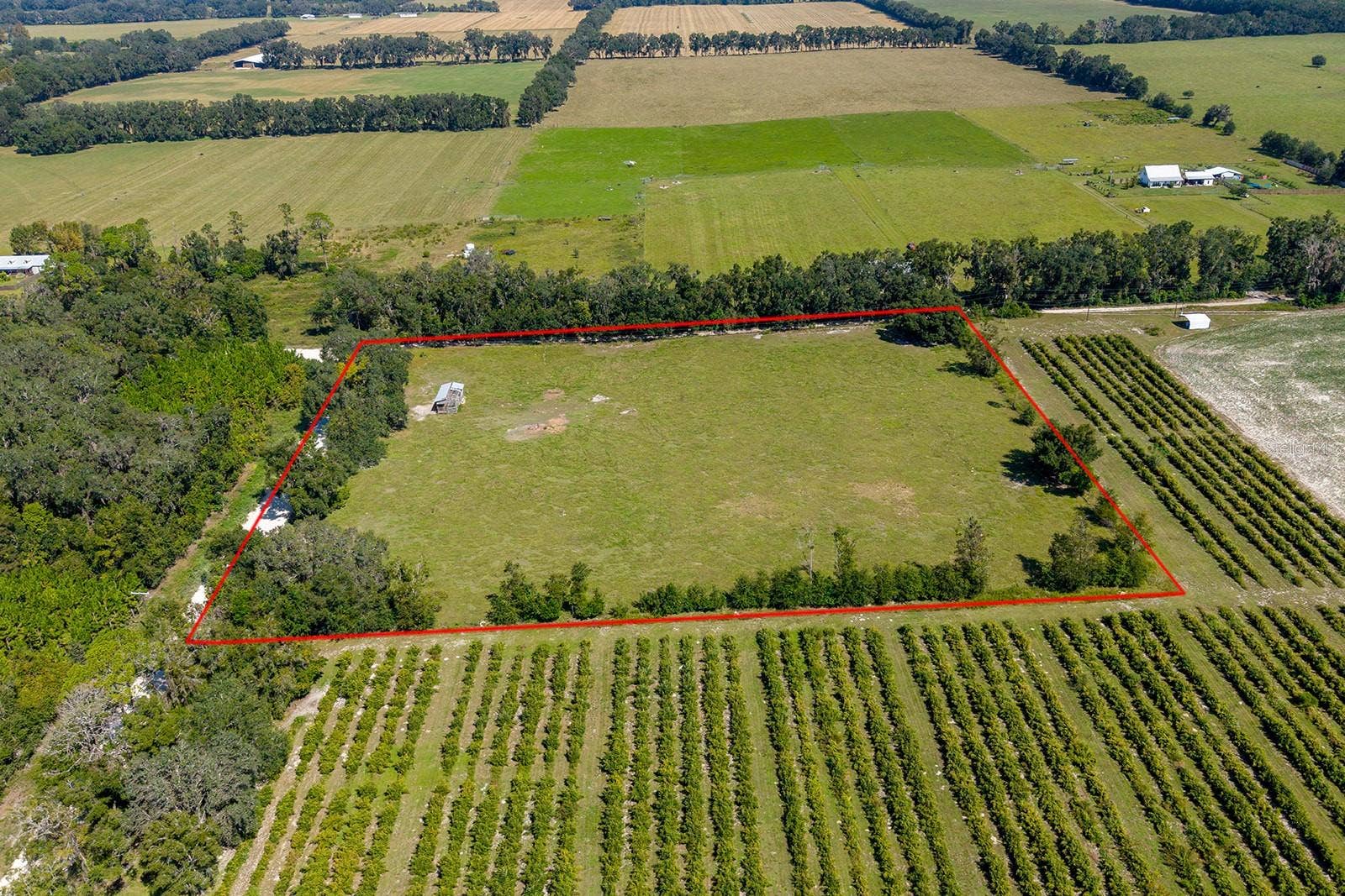 2301 NW 282ND STREET, Newberry, FL 32669 2301 NW 282ND STREET, Newberry, FL 32669
