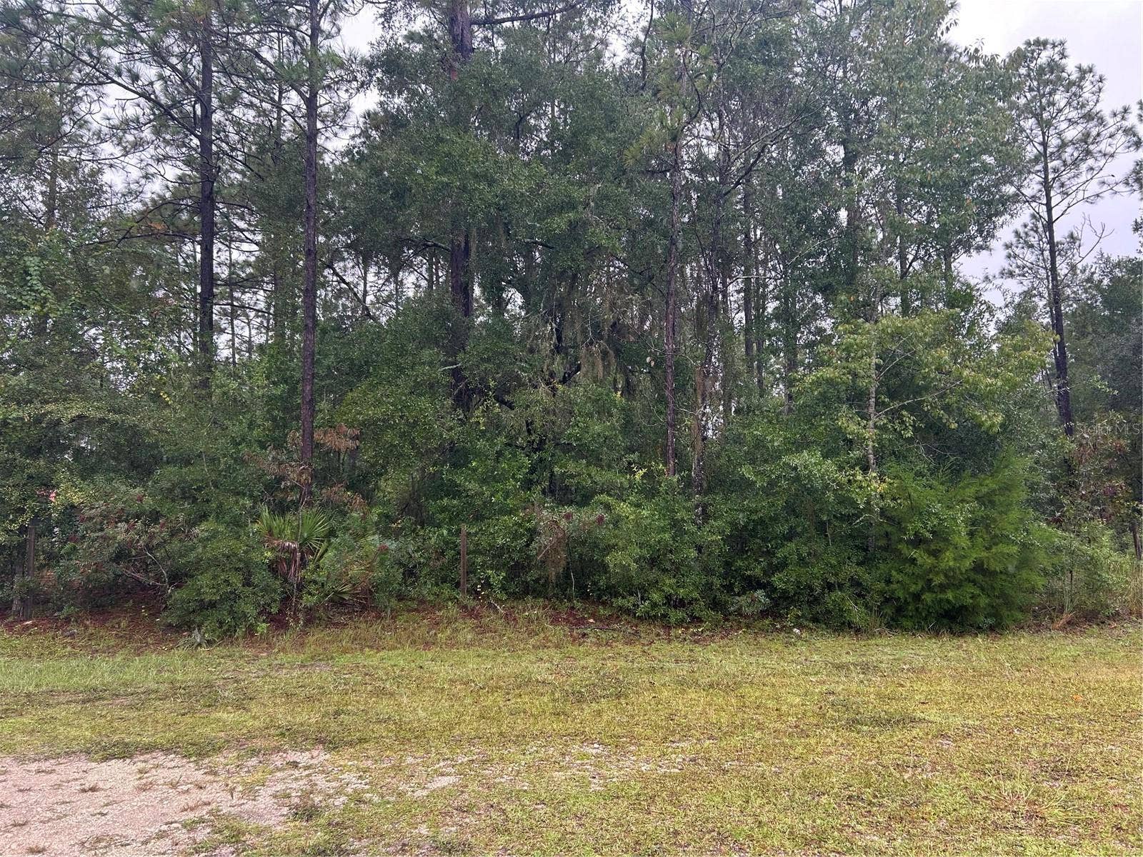 TBD NE 77TH COURT, Bronson, FL 32621 TBD NE 77TH COURT, Bronson, FL 32621