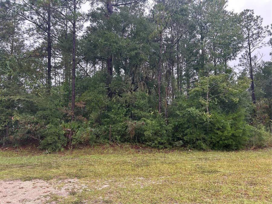 Property photo for TBD NE 77TH COURT, Bronson, FL