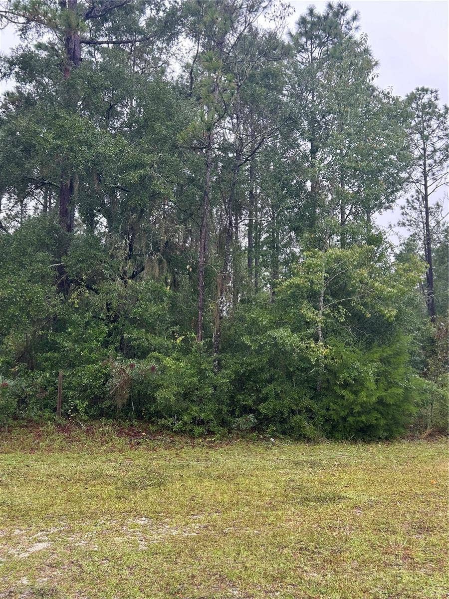TBD NE 77TH COURT, Bronson, FL 32621 TBD NE 77TH COURT, Bronson, FL 32621