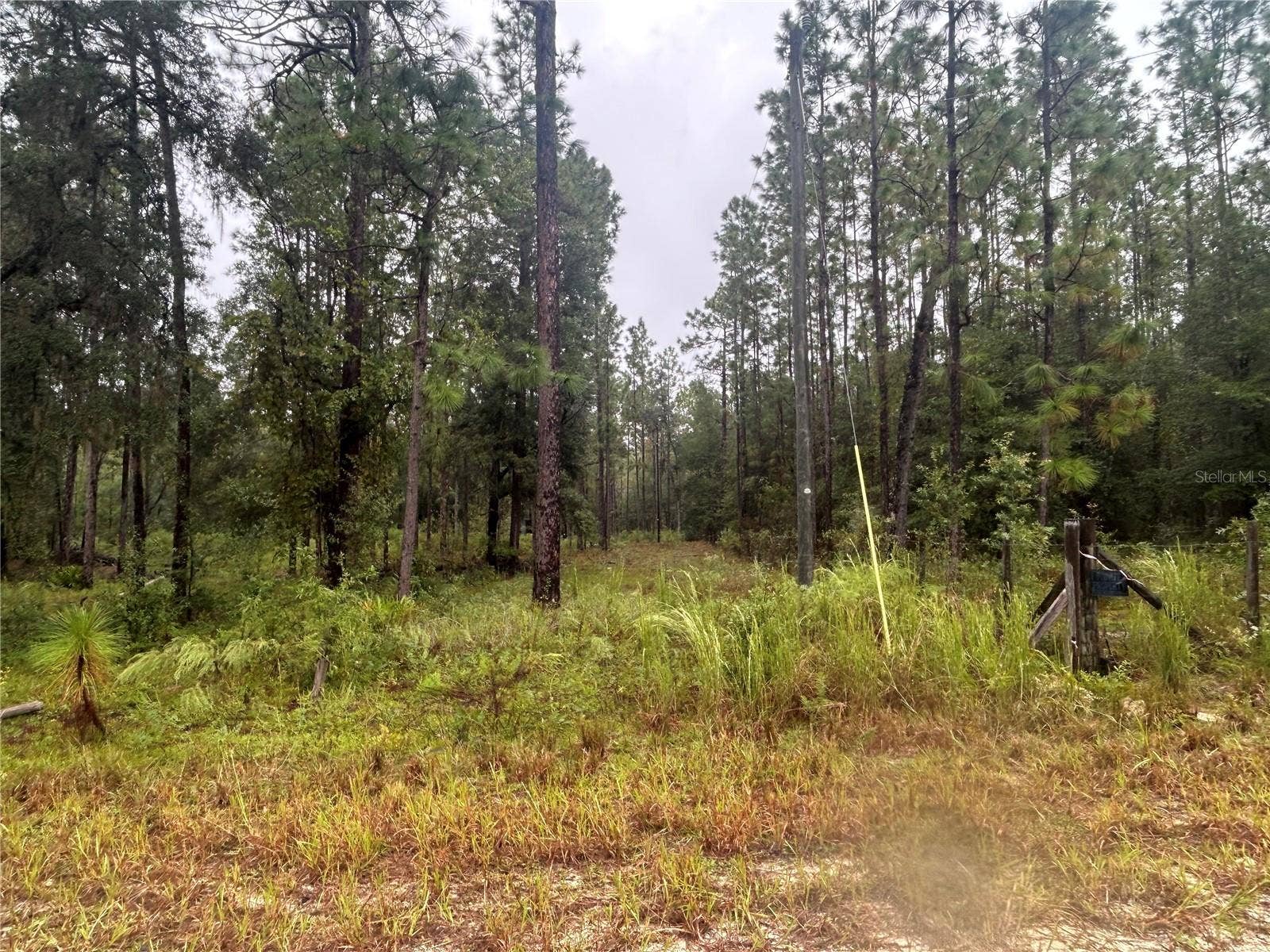 TBD NE 111TH LANE, Bronson, FL 32621 TBD NE 111TH LANE, Bronson, FL 32621