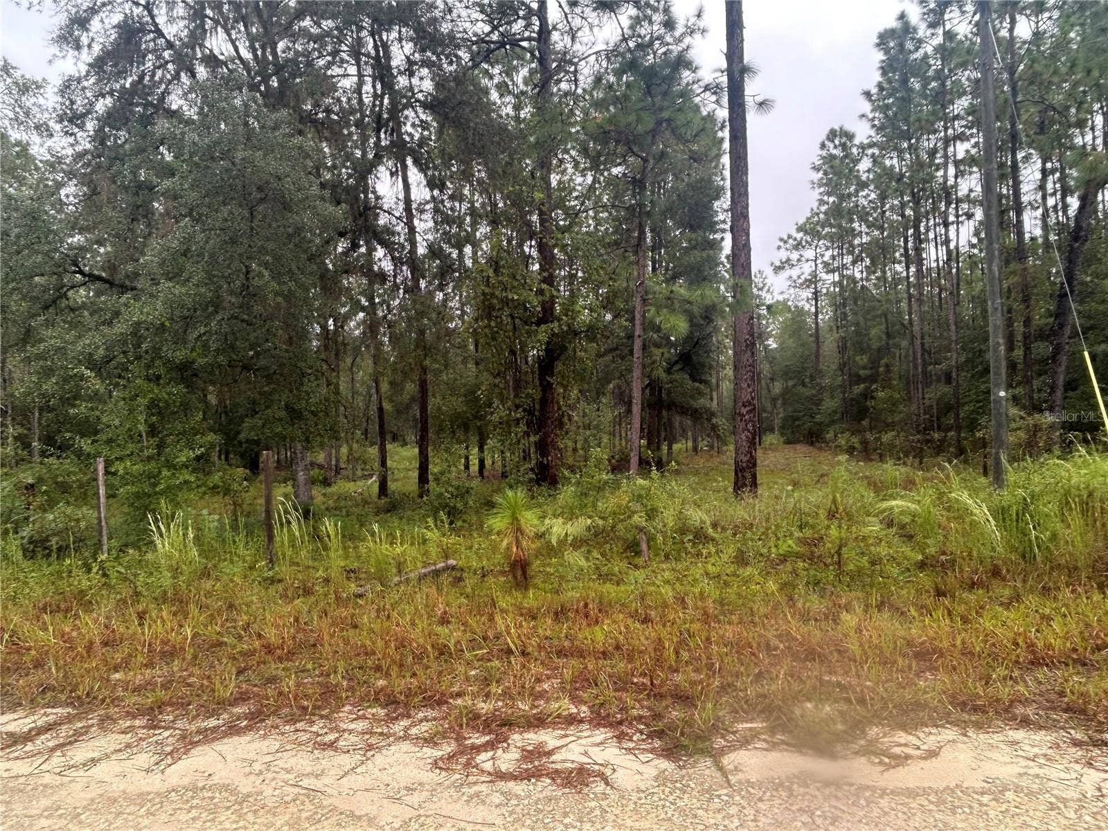 TBD NE 111TH LANE, Bronson, FL 32621 TBD NE 111TH LANE, Bronson, FL 32621