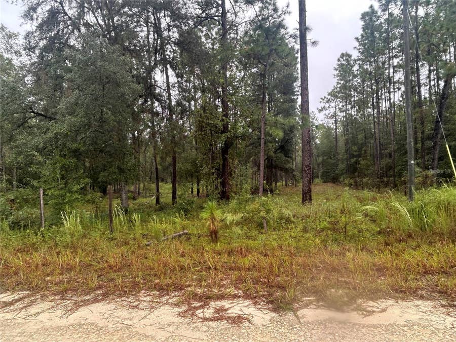 Property photo for TBD NE 111TH LANE, Bronson, FL