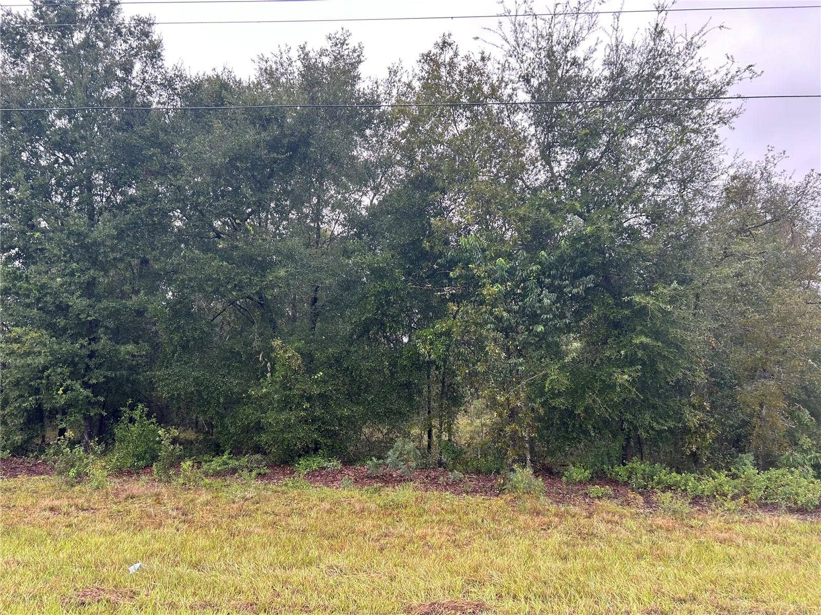 TBD NE 110TH STREET, Bronson, FL 32621 TBD NE 110TH STREET, Bronson, FL 32621