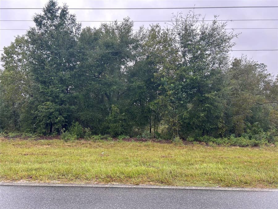Property photo for TBD NE 110TH STREET, Bronson, FL