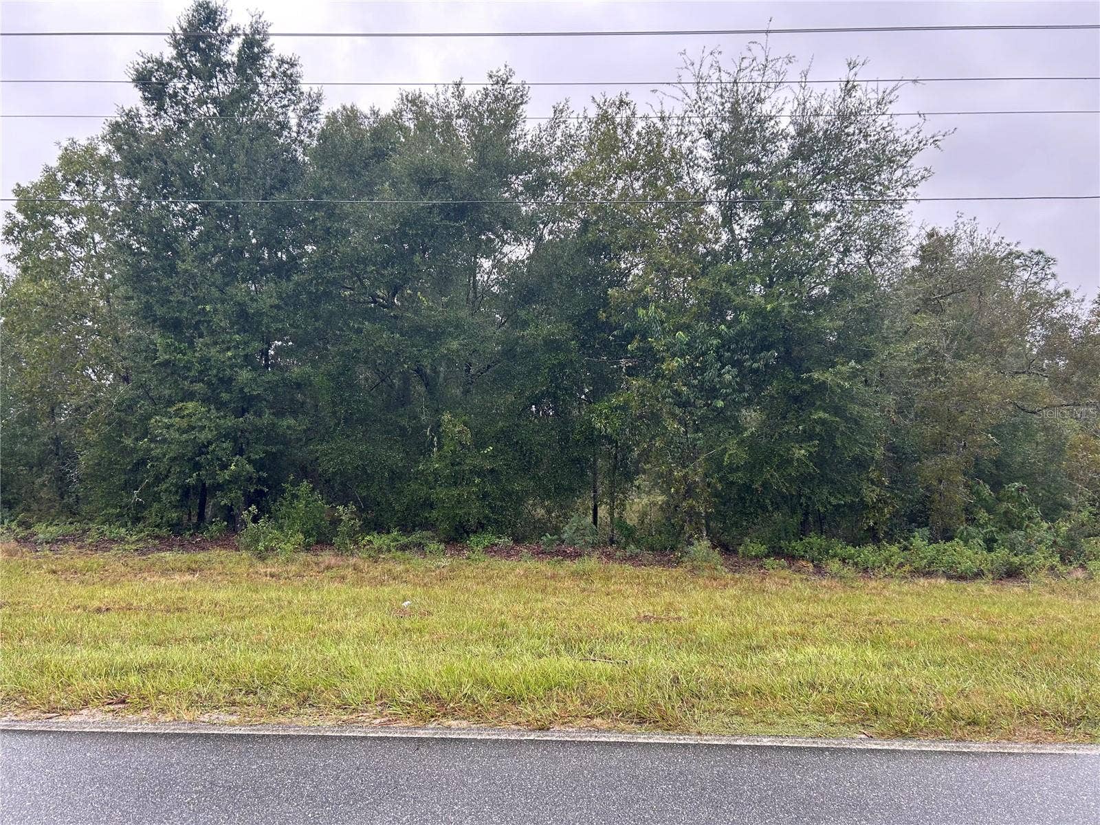 TBD NE 110TH STREET, Bronson, FL 32621 TBD NE 110TH STREET, Bronson, FL 32621