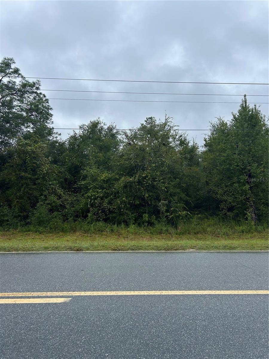 TBD NE 80TH AVENUE, Bronson, FL 32621