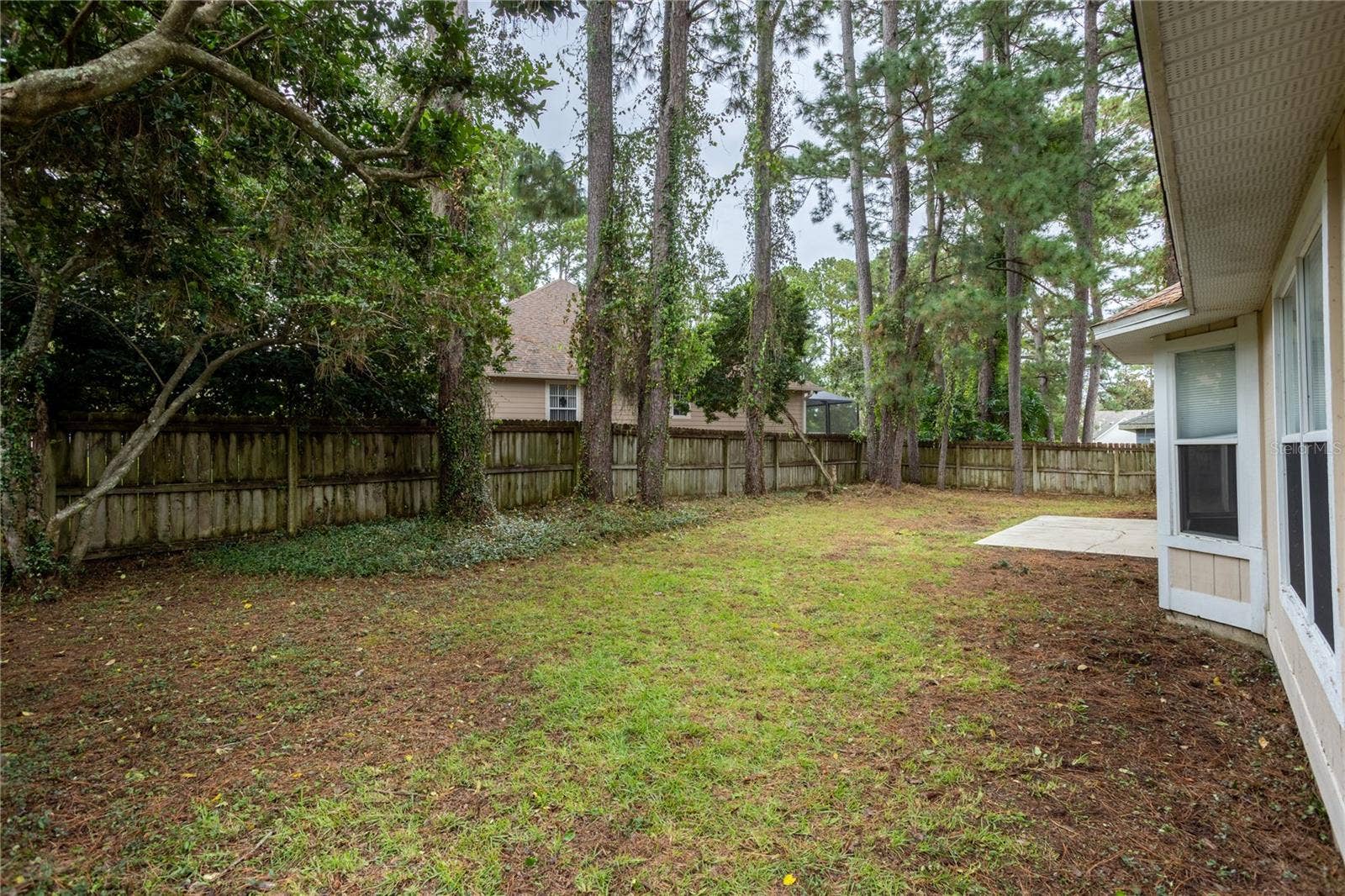 Backyard