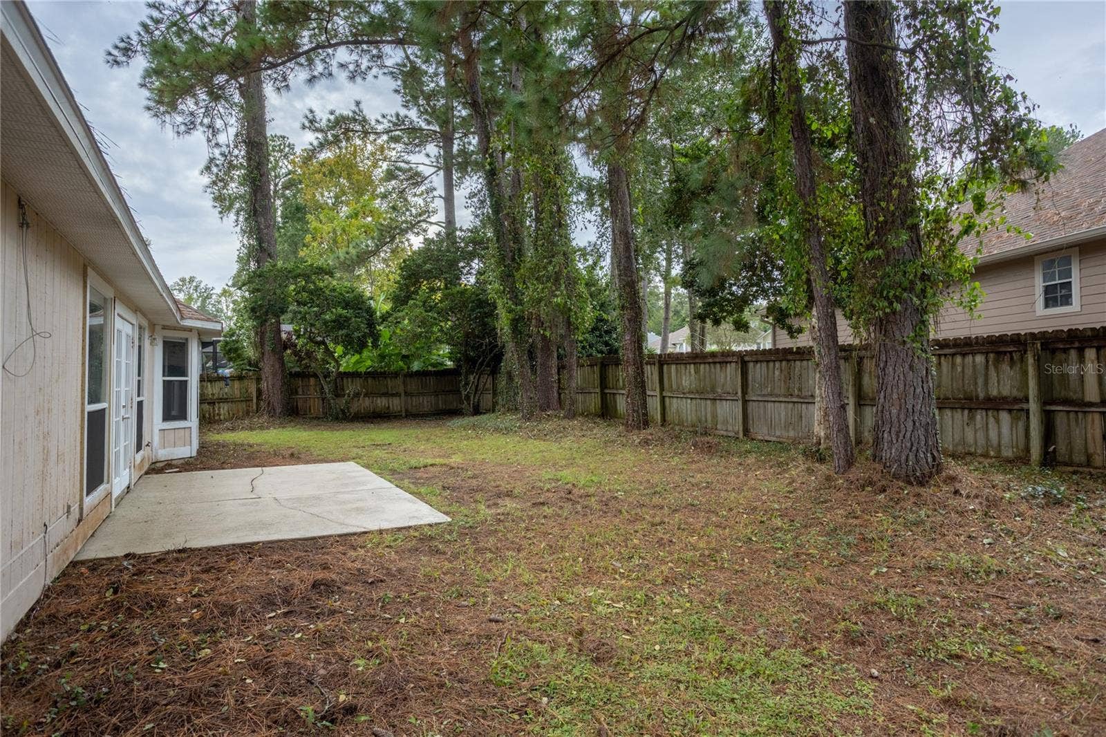 Backyard