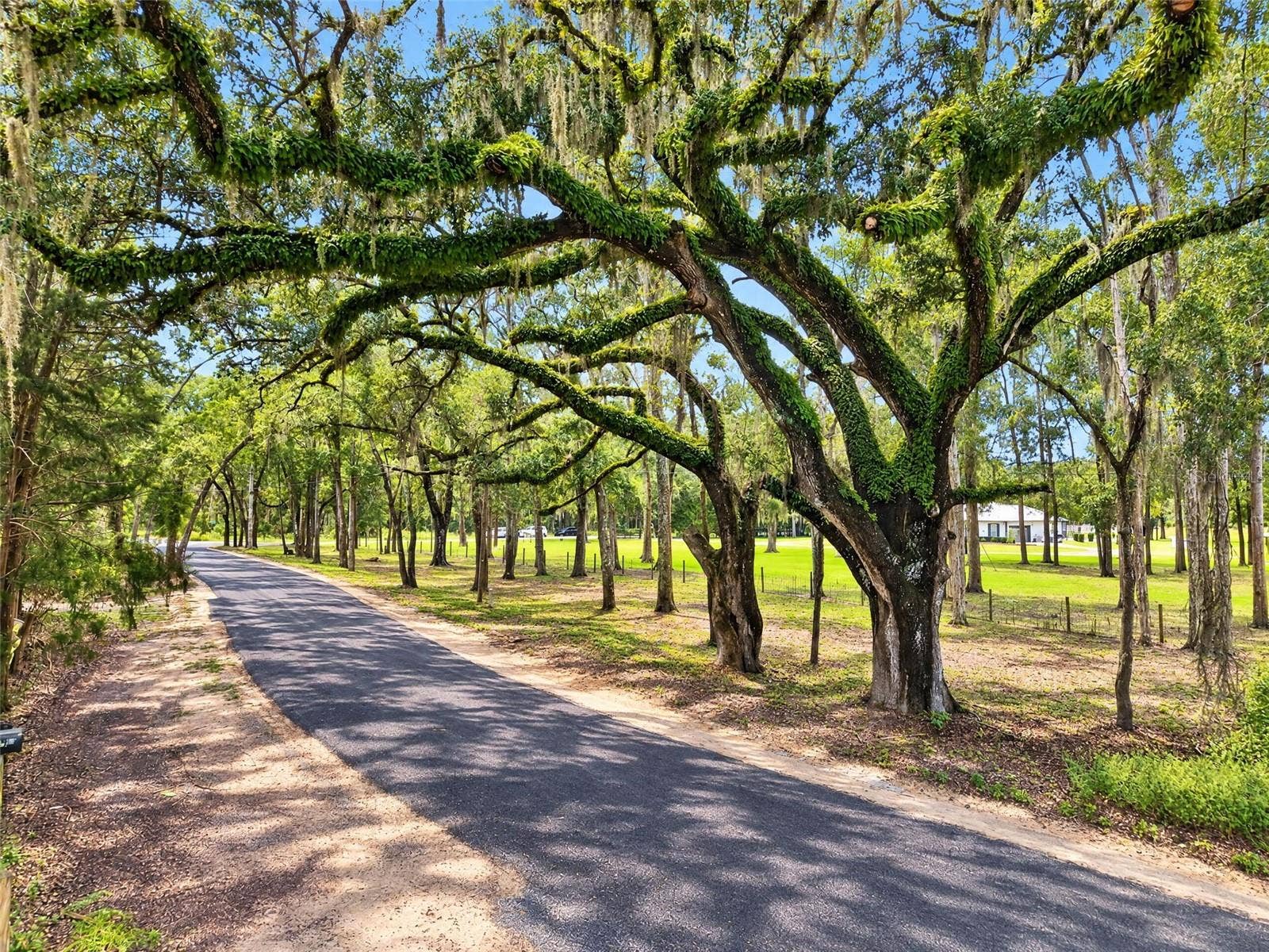 7930 SE 86TH AVENUE, Newberry, FL 32669