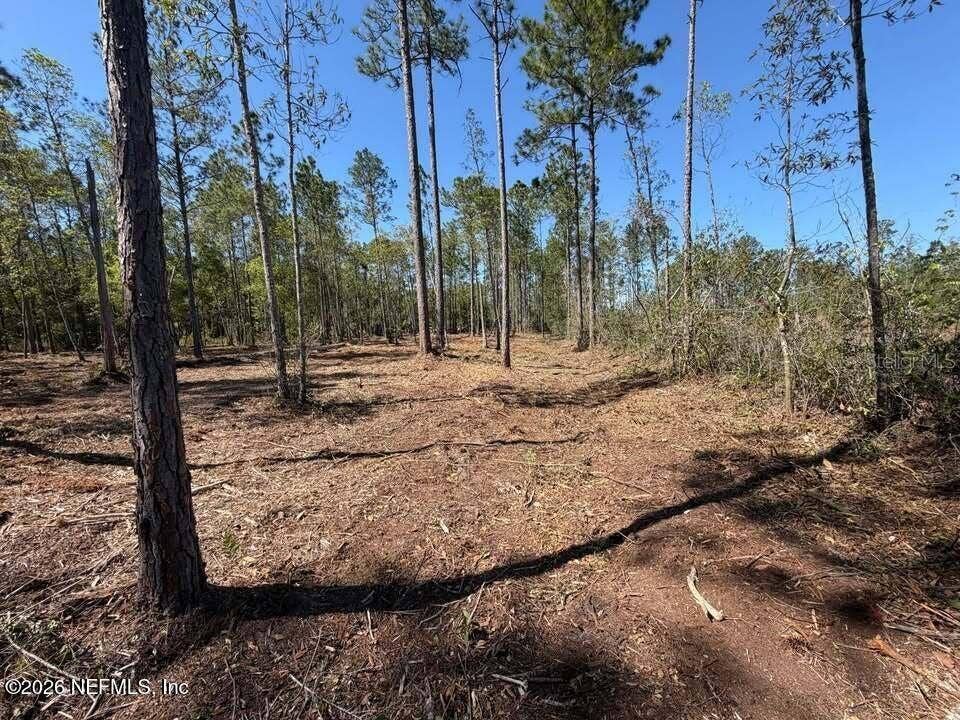 0 SE 125TH STREET, Starke, FL 32091 0 SE 125TH STREET, Starke, FL 32091
