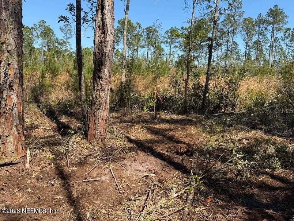 0 SE 125TH STREET, Starke, FL 32091 0 SE 125TH STREET, Starke, FL 32091