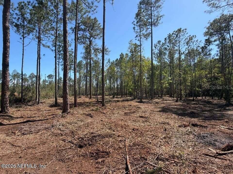 0 SE 125TH STREET, Starke, FL 32091 0 SE 125TH STREET, Starke, FL 32091