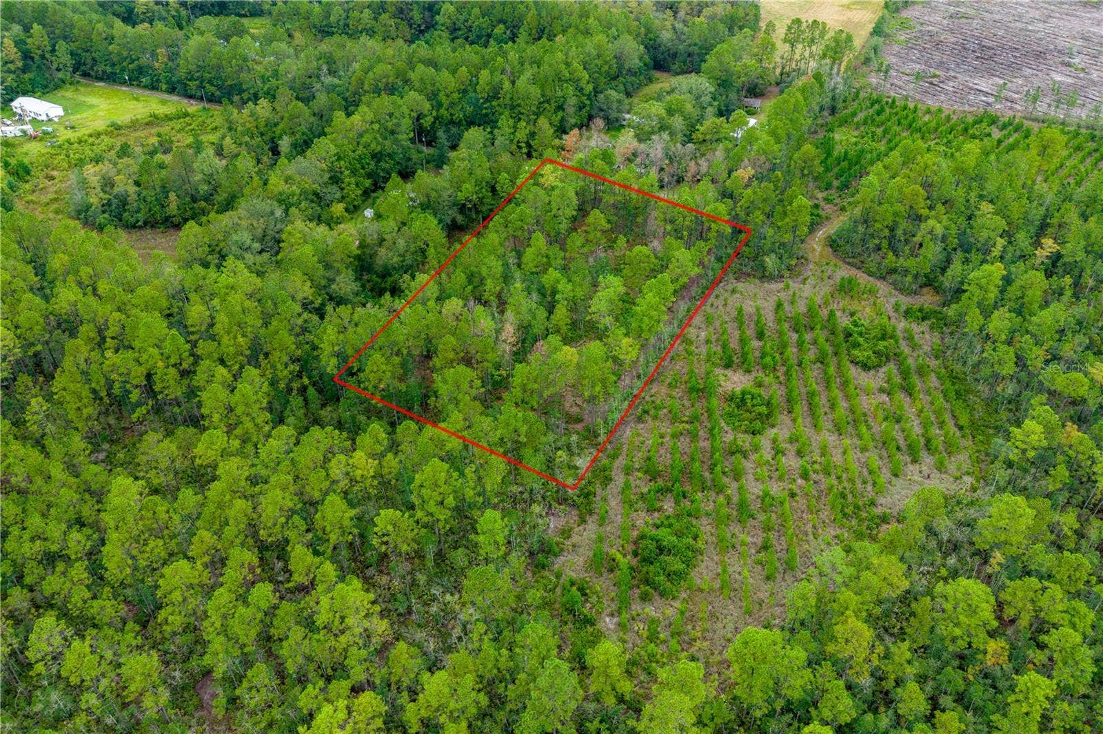 0 SE 125TH STREET, Starke, FL 32091 0 SE 125TH STREET, Starke, FL 32091