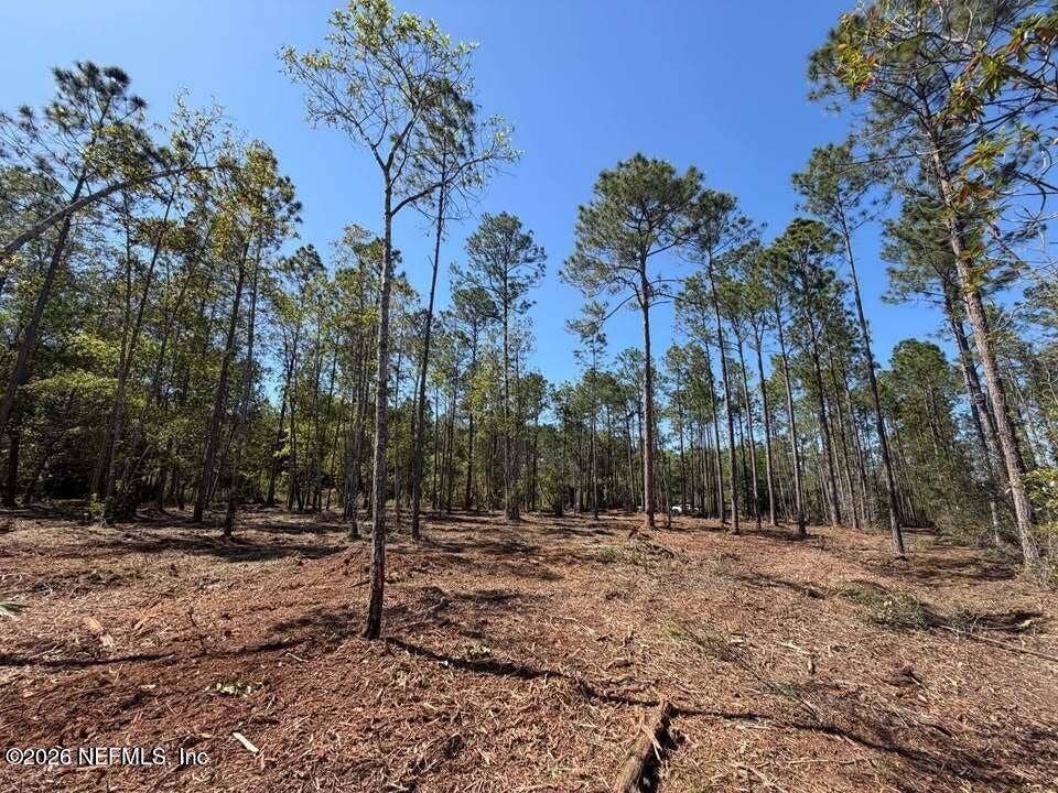 0 SE 125TH STREET, Starke, FL 32091 0 SE 125TH STREET, Starke, FL 32091