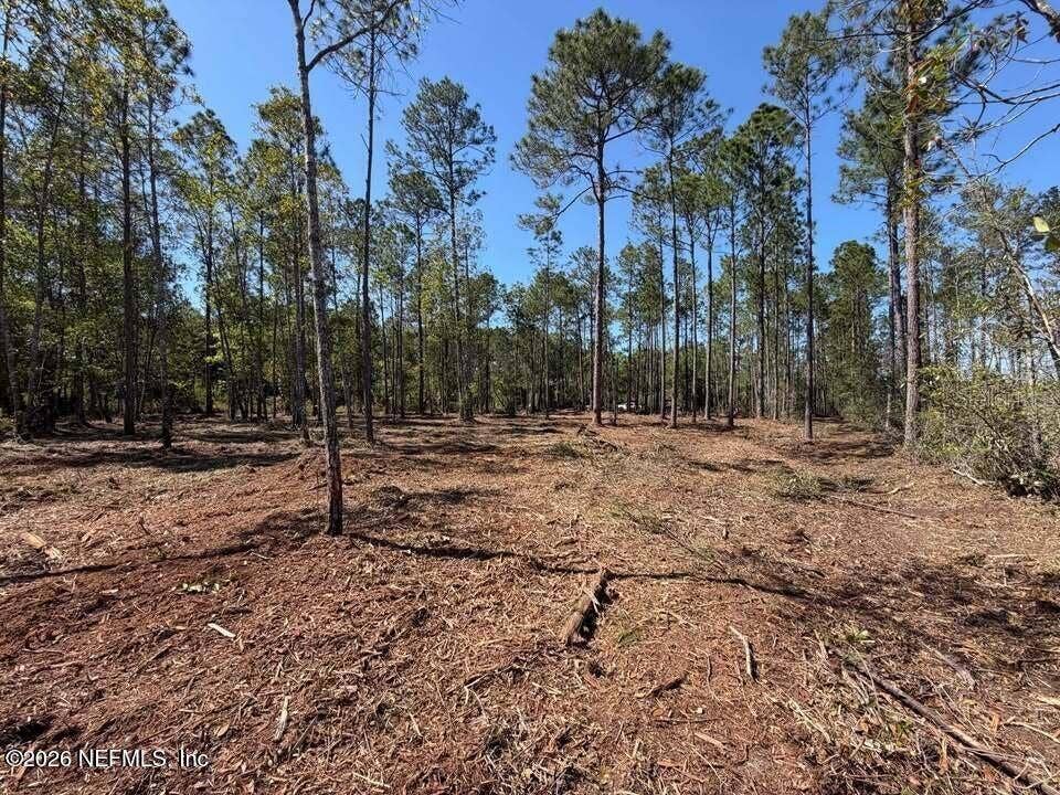 0 SE 125TH STREET, Starke, FL 32091 0 SE 125TH STREET, Starke, FL 32091