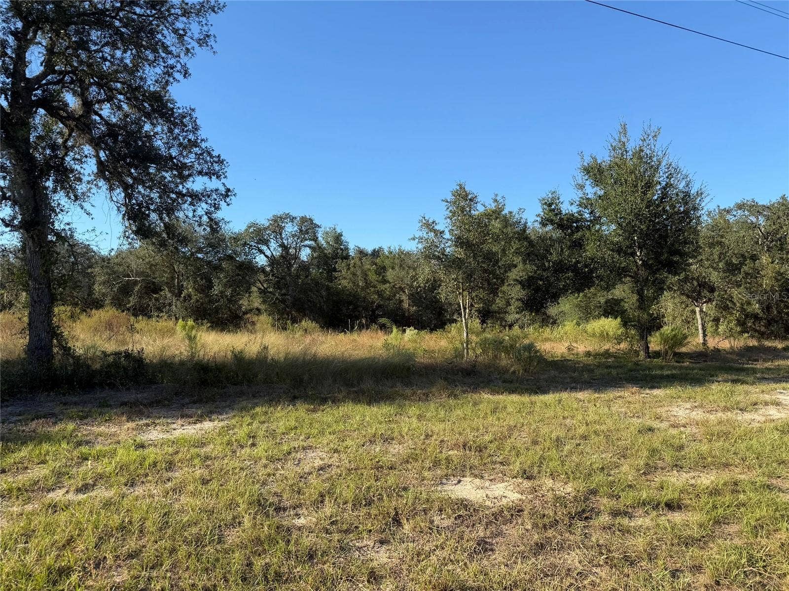 TBD NE 106TH TERRACE, Bronson, FL 32621 TBD NE 106TH TERRACE, Bronson, FL 32621