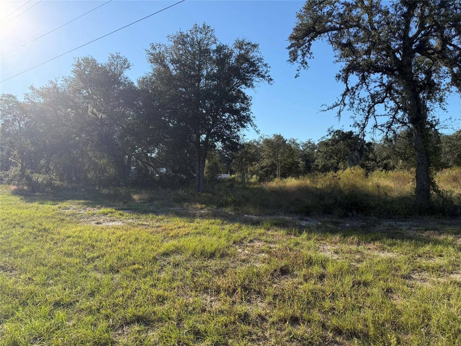 TBD NE 106TH TERRACE, Bronson, FL 32621 TBD NE 106TH TERRACE, Bronson, FL 32621