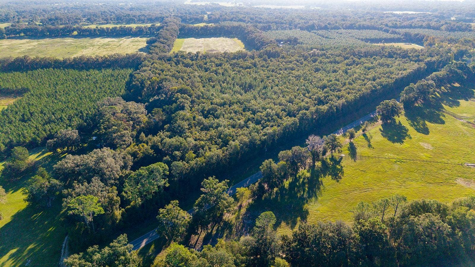 TBD 00 NW COUNTY ROAD 339, Trenton, FL 32693 TBD 00 NW COUNTY ROAD 339, Trenton, FL 32693